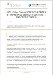 Inclusion financière des petites et moyennes entreprises (PME) : progrès et défis