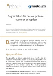 Segmentation des micros, petites et moyennes entreprises